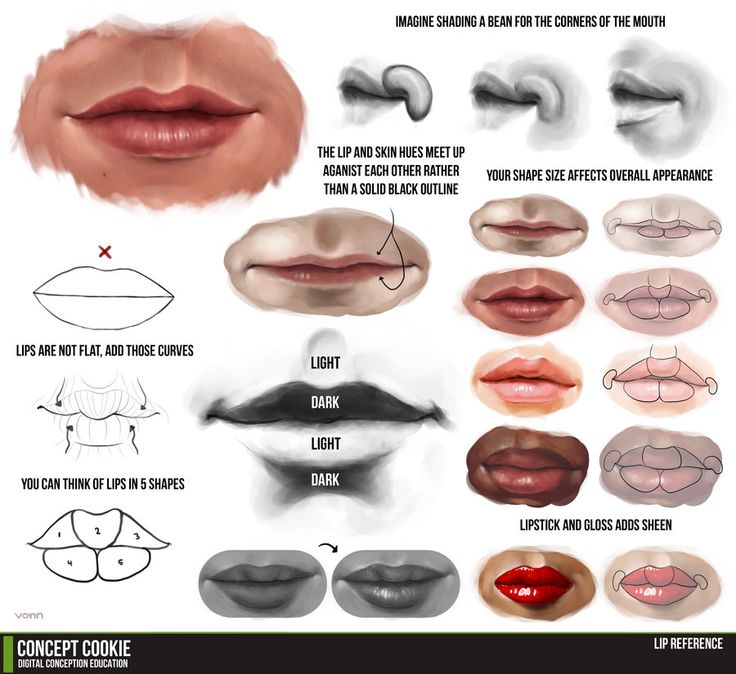 a digital illustration of lips in various shapes and with different lighting to be used as a drawing reference. there are annotations on the image to guide the viewer on how to draw lips.