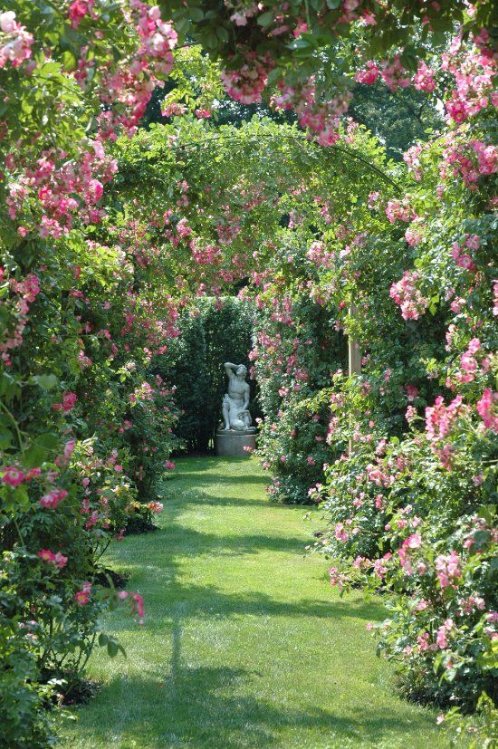a lush green pathway is bordered by vibrant pink roses forming a beautiful archway.  a weathered stone statue is centered in the distance, with sunlight dappling the pathway and illuminating the flowers.
