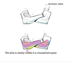 the image is a drawing tutorial about the anatomy of the arm, specifically the ulna bone. it shows two sketches of crossed arms, one with the bones outlined to show the position of the ulna. the caption explains that the ulna is clearly visible in a crossedarm pose.