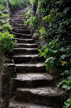 a stone staircase winds its way up a forested hillside. the steps are worn and rugged, and the surrounding foliage is lush and green. the path is narrow and inviting, leading the viewer upwards to a hidden destination.