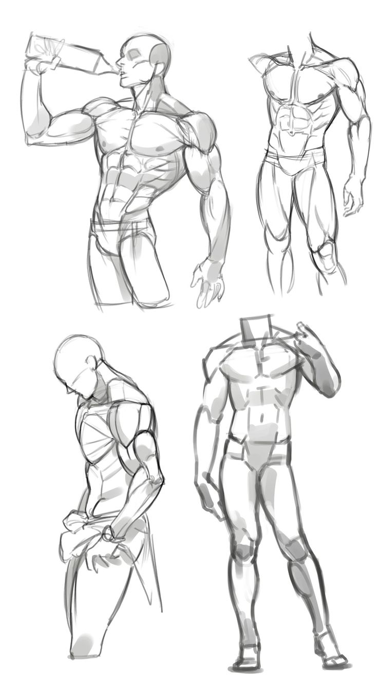 this image contains four sketches of male figures. all the figures are drawn in a simple line art style, and they show different poses and perspectives. each sketch highlights the muscle structure of the human body. the figures are in various poses, from standing to sitting, and they are drawn in a way that emphasizes their anatomy and proportions. the image is a good example of how to practice drawing the human body in a simple and effective way.