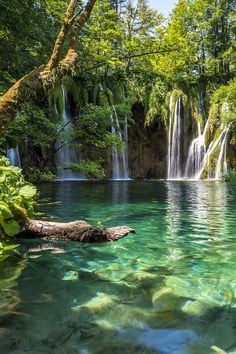 the image showcases a captivating scene of a pristine lake nestled amidst a lush forest. cascading waterfalls plunge into the crystalclear turquoise waters, creating a mesmerizing spectacle. the verdant foliage surrounding the lake adds to the tranquility and beauty of the setting. sunbeams pierce through the canopy, illuminating the vibrant colors of nature. the wideangle perspective enhances the grandeur and scale of the landscape.