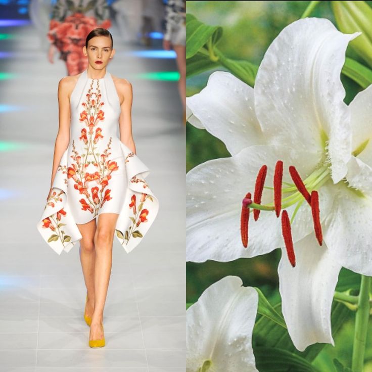 this image shows a split view. on the left, a fashion model walks the runway in a white, floral printed dress. the dress has an asymmetrical hemline, with a shorter front and a longer back. the print features red and orange flowers, creating a vibrant contrast against the white fabric. the model is wearing yellow high heels, completing the stylish look. on the right side of the image, a white lily flower takes center stage. the flower is in full bloom, displaying its delicate petals and contrasting red stamens. the green leaves in the background suggest a lush garden setting, highlighting the natural beauty of the flower.