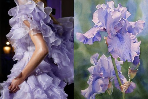 this image is a split composition, with the left side featuring a closeup of a woman wearing a purple dress adorned with intricate ruffles and the right side displaying a watercolor painting of delicate purple iris flowers. both sides share the same color palette and theme of delicate beauty and femininity. the dress, with its soft, flowing fabric, mirrors the graceful curves of the iris petals, while the painting's vibrant hues and realistic details bring a touch of nature and art to the composition.