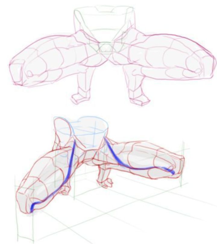 a drawing of a human figure in two different poses. the first pose is a standing pose with the figure's legs spread wide and the figure is looking straight ahead. the second pose is a crouched pose with the figure's legs bent and the figure is looking down. the figure is drawn with a basic skeleton structure and muscle outlines in red and blue.