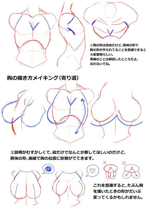 the image shows a drawing tutorial on how to draw