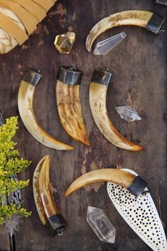 this image features a collection of animal teeth, likely boar tusks, capped with metal and arranged on a rustic wooden surface alongside various crystals. the teeth appear to be fashioned into pendants or decorative accessories. the composition includes yellow flowers, enhancing the natural and somewhat mystical aesthetic.