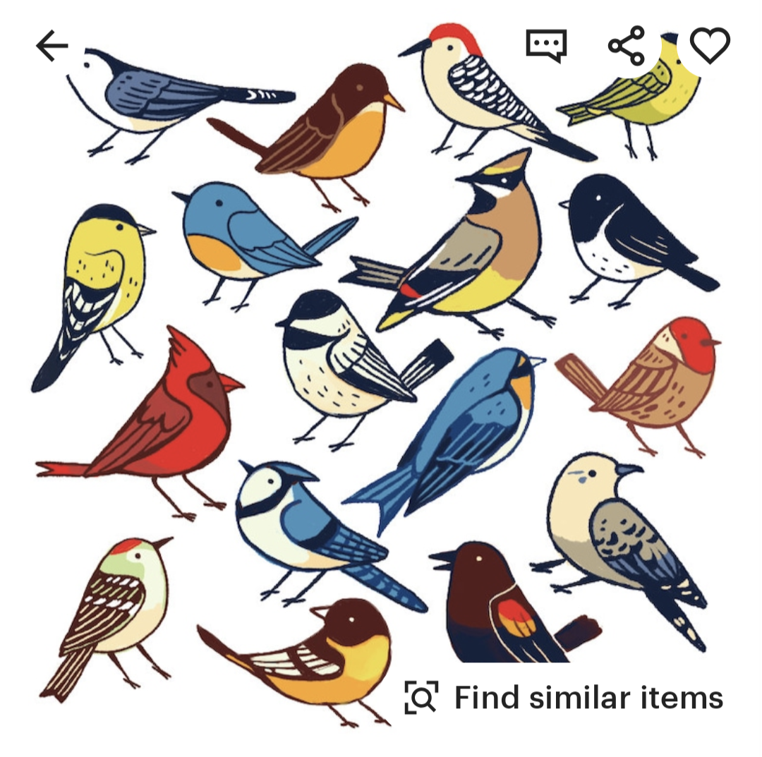 an illustration of 15 different kinds of birds. all the birds are drawn in a whimsical cartoon style and are colorful. the background is a white.