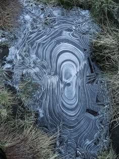 a closeup image of frozen ice in a pond or lake. the ice is covered in intricate patterns, creating a beautiful and abstract design. the ice is a dark blue color, with some areas of white and grey. the image is taken from a low angle, giving the viewer a sense of being in the middle of the ice. the ice is still and calm, reflecting the sky and the surrounding trees.