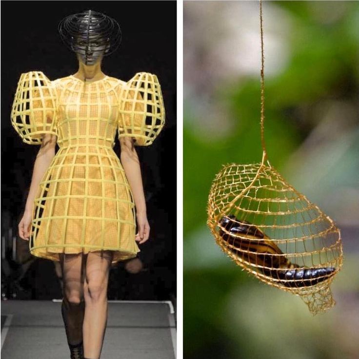 the image shows a fashion model wearing a yellow cagelike dress on a runway. next to it is an image of a real life cocoon with an insect inside. the image suggests that the fashion designer was inspired by the cocoon's design when creating the dress.