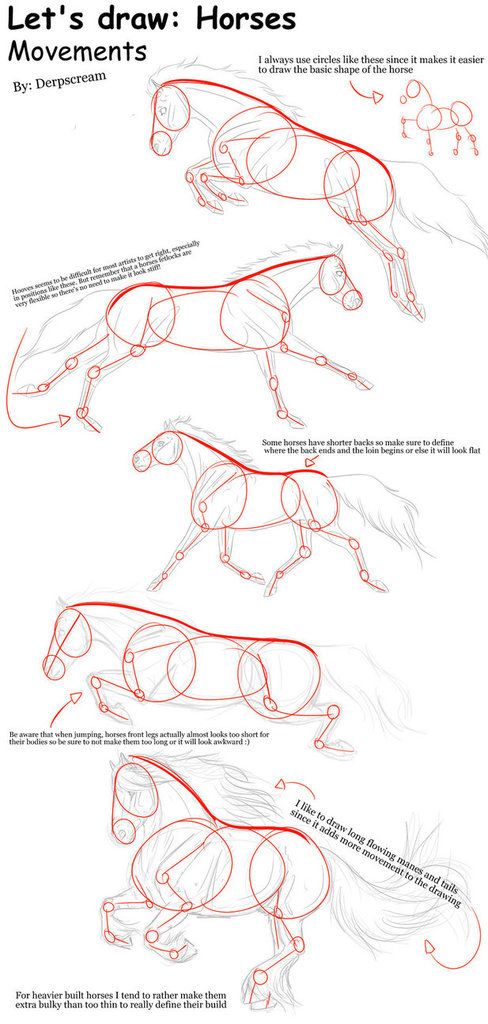 the image is a drawing tutorial on how to draw horses in motion. it features several sketches of horses in various running and jumping poses. the artist uses circles to help define the basic shapes of the horse's body before adding details. the tutorial also includes helpful tips and notes on how to capture the movement and anatomy of a horse.