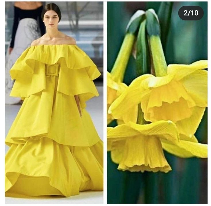 this image shows a split screen. on the left side of the image is a fashion model wearing a bright yellow ruffled gown. the gown is tiered and has a ruffled neckline. the model is posing on a runway in a fashion show.  the right side of the image shows a cluster of yellow daffodil blossoms. the flowers are in focus and the background is out of focus.