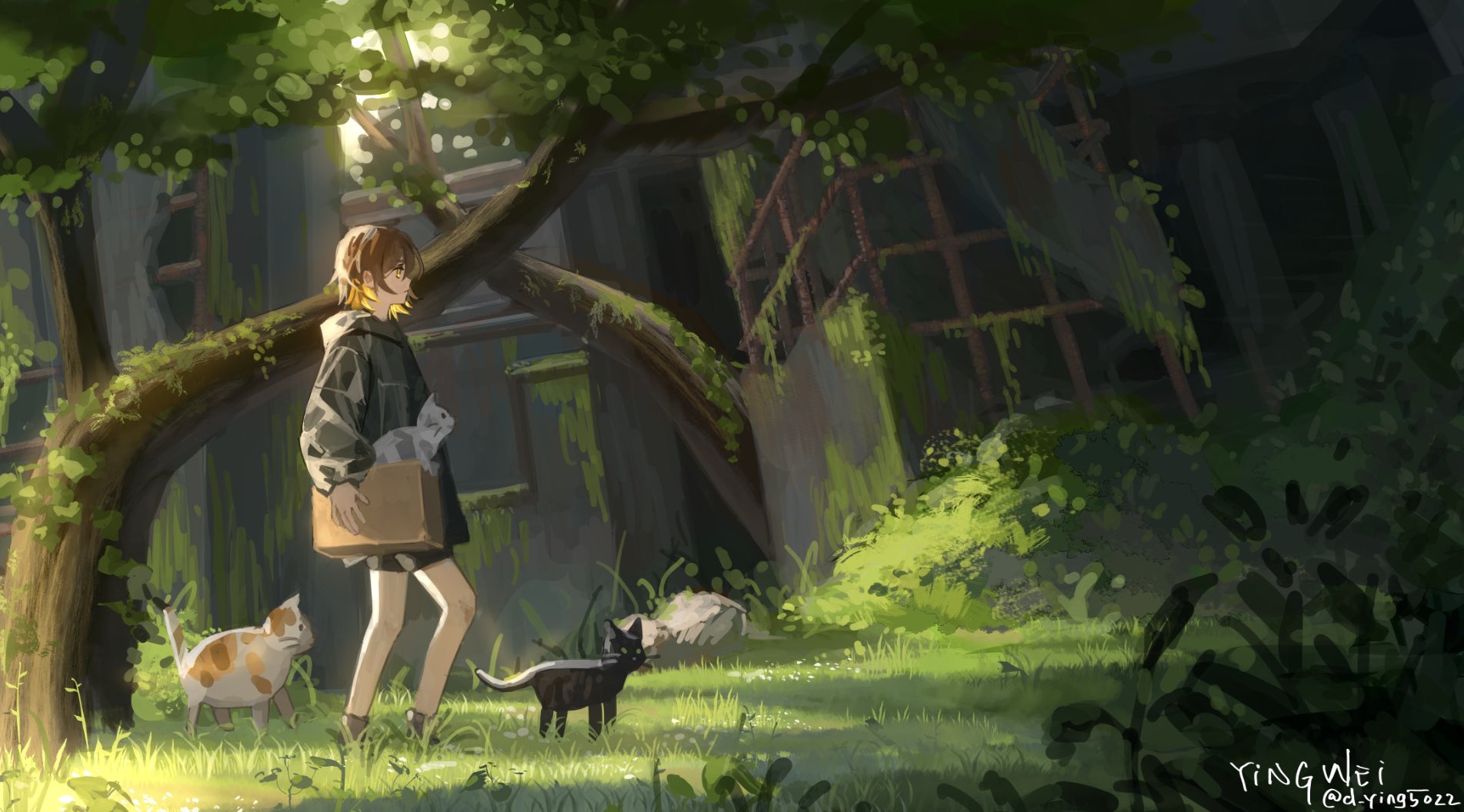 an animestyle digital painting shows a woman carrying a cardboard box containing a cat, accompanied by two other cats, in an overgrown area with an abandoned building in the background. the scene is bathed in soft sunlight filtering through the trees. the building is covered in moss and vegetation, indicating its dilapidated state. the area is lush with grass and greenery.