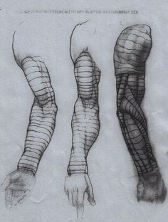 a black and white sketch of an arm in anatomical detail with a pen and pencil. the arm is depicted in 3 different positions to show the muscle structure.