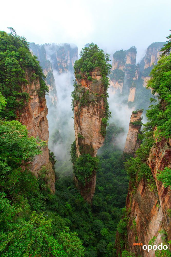 a breathtaking view of the avatar mountains in zhangjiajie national park, china. the tall, thin rock formations rise up into the clouds, creating a truly surreal and magical landscape. the mist and fog add to the ethereal atmosphere of the scene, making it feel like something out of a dream. the lush green vegetation covering the mountains further emphasizes the beauty of this natural wonder.