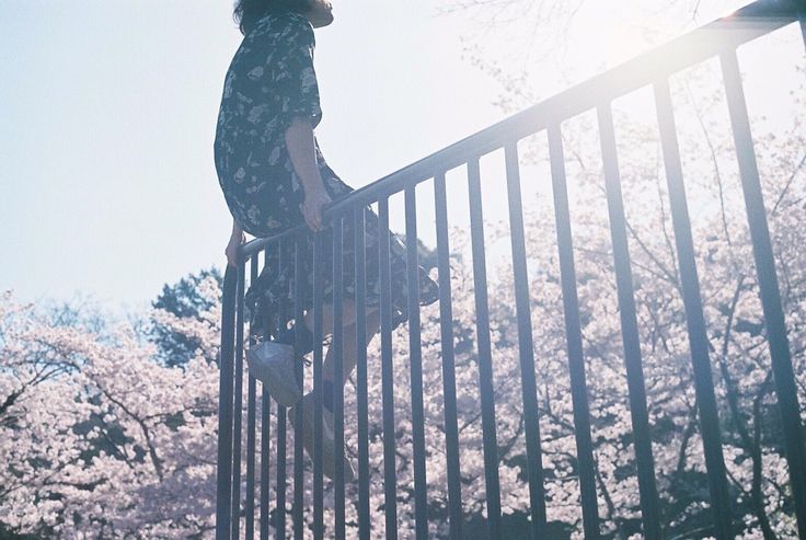 a young woman sits on a metal fence against a backdrop of blooming cherry blossom trees.  she is wearing a floral dress and sneakers. the scene is bright and peaceful, with a soft, dreamy quality to the lighting and colors. the focus is on the girl, while the background is slightly out of focus, emphasizing the serene atmosphere.