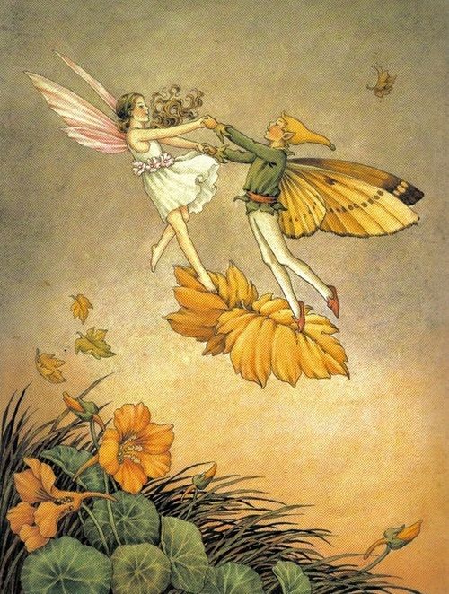 an illustration depicts two fairies dancing in the sky above a bed of nasturtium flowers. a female fairy with pink wings and a white dress holds hands with a male fairy who has yellow butterfly wings, a green shirt, and white pants. they stand on a large yellow flower in the sky, with some leaves falling around them. the background has a textured look, with orange and beige coloring.