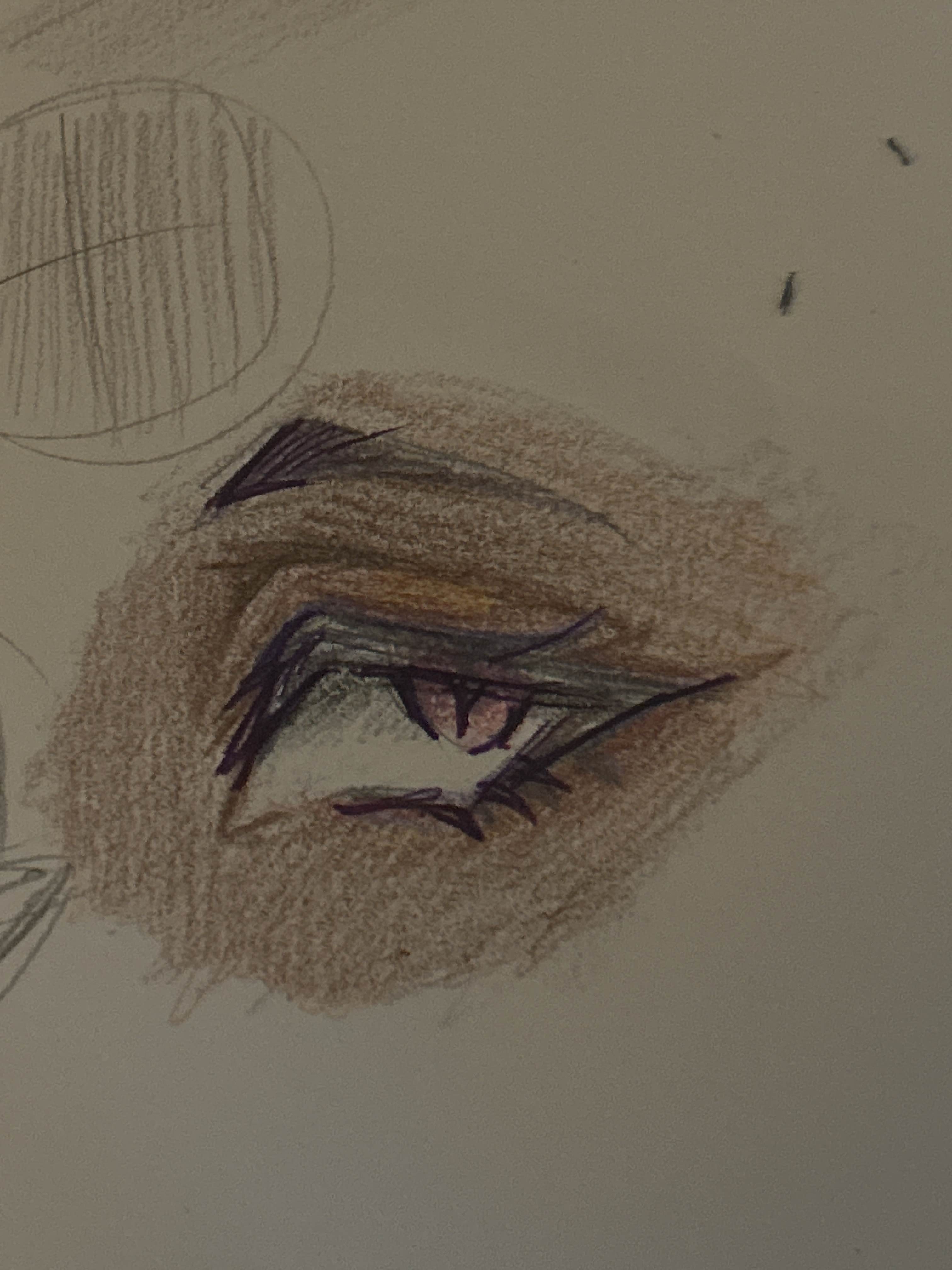 this image features a closeup drawing of an eye. the artist has used pencil and colored pencils to create a realistic representation of the eye, including the details of the eyelashes, eyebrow, iris, pupil, and eyelid. the eye is depicted as looking upwards and slightly to the side, creating a sense of depth and expression.  the use of shades of brown and pink creates a sense of depth and detail in the eye, while the purple outlines of the lashes and the brow give the drawing a slightly dramatic and expressive look.  the overall effect is a beautiful and detailed depiction of the human eye.