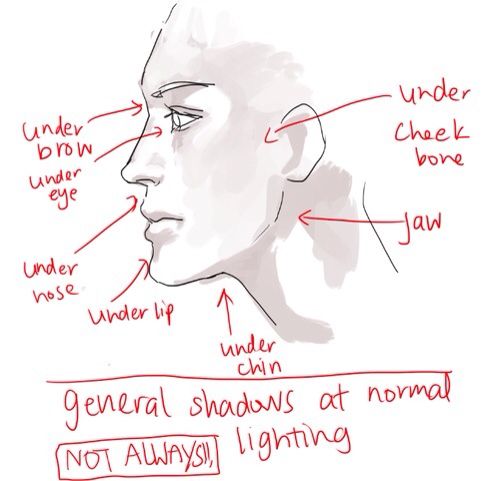 a sketch of a human face in side profile is labeled with common areas where shadows typically fall in normal lighting. the labels include "under brow," "under eye," "under nose," "under lip," "under chin," "under cheek bone," and "jaw." below the drawing, text states "general shadows at normal lighting" and "(not always!!)".