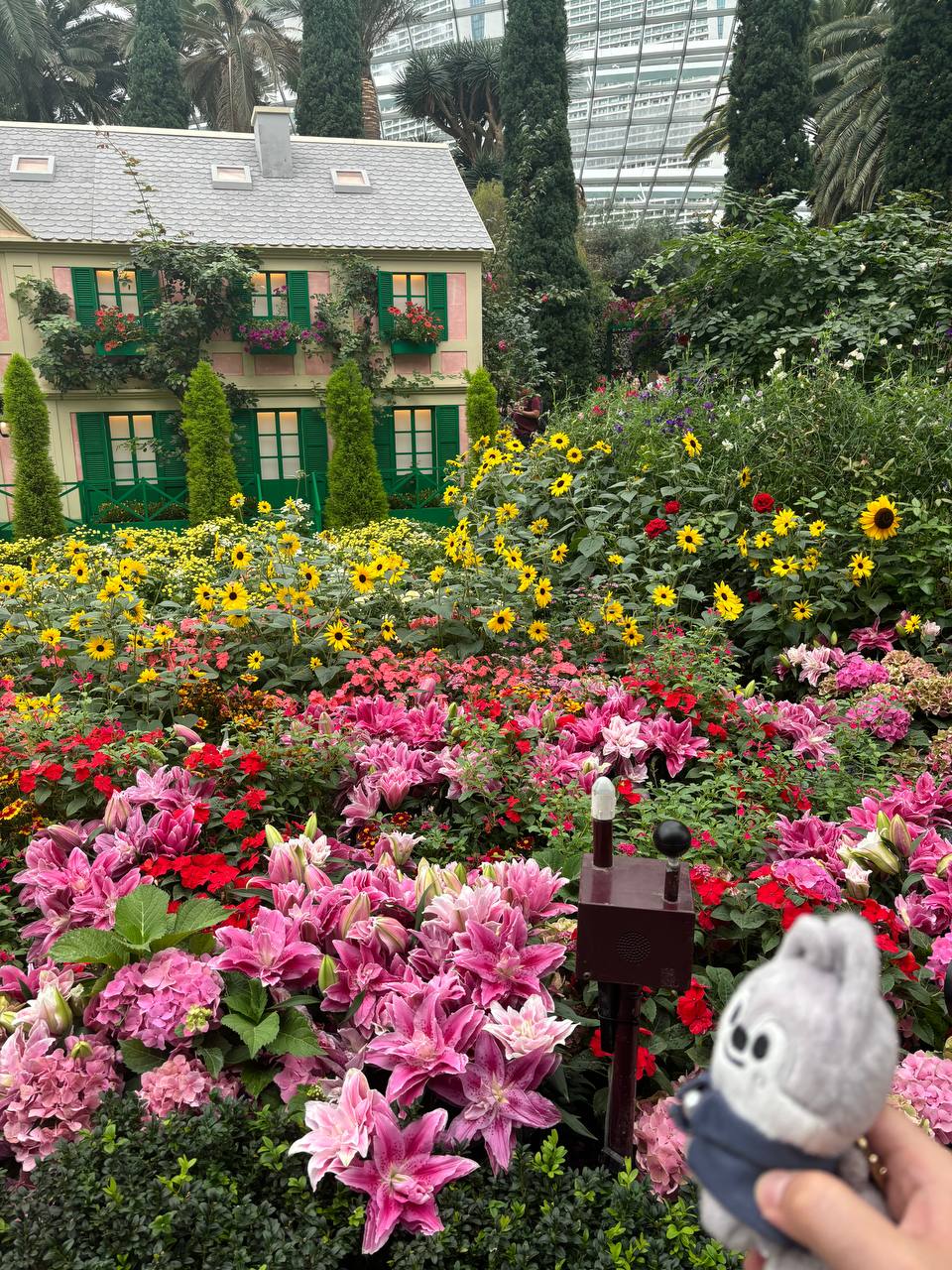 the image shows a vibrant floral display in what appears to be a botanical garden, possibly gardens by the bay. a charming, miniature pink house with green shutters is centrally located in the background. the foreground is filled with an abundance of brightly colored flowers including masses of pink lilies, sunflowers, hydrangeas, and other assorted blooms. a small grey plush toy, seemingly a character from a cartoon or animation, is held in the bottom right corner of the photo, providing a whimsical contrast to the lush natural setting. the overall scene is a picturesque depiction of a beautifully designed and maintained garden.