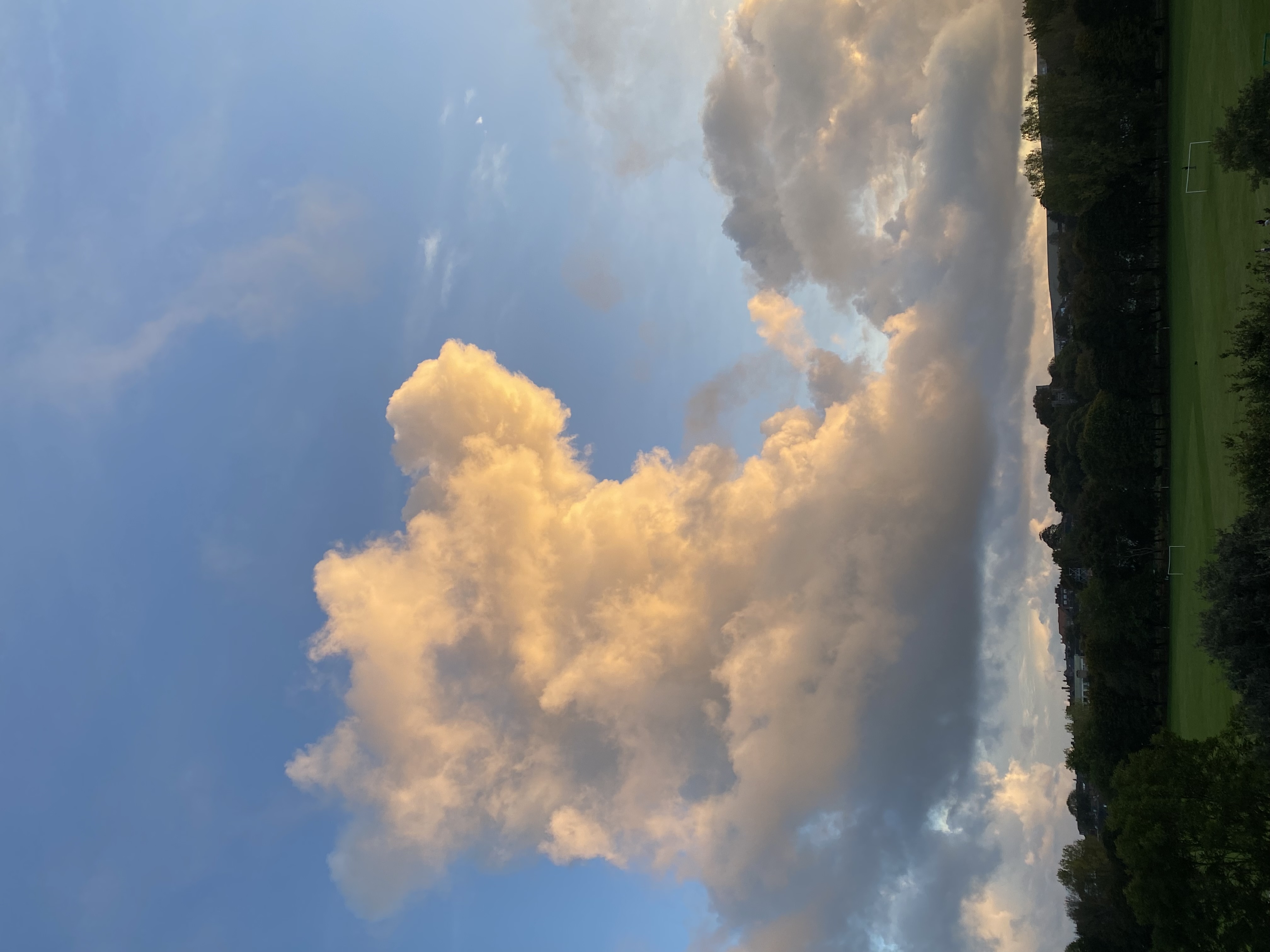 a stunning sunset with a dramatic cloud formation in the sky. the clouds are a beautiful mix of pink, orange, and white, with a soft, fluffy texture. the setting sun casts a golden glow on the clouds and the surrounding landscape. the horizon is marked by a line of trees and bushes, which are silhouetted against the vibrant sky. the field in the foreground is a lush green, adding to the peaceful and tranquil atmosphere.