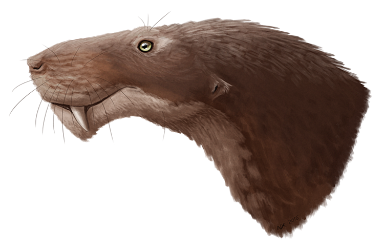 this is a profile view illustration of the head and neck of a josephoartigasia, an extinct genus of rodent. it showcases the animal's large size, brown fur, long whiskers, and prominent incisor teeth.  the lighting is soft, highlighting the texture of the fur.