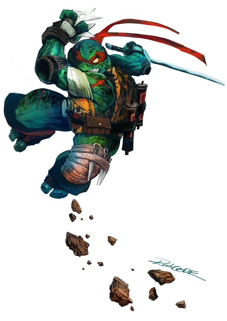 a digitally illustrated image of a teenage mutant ninja turtle, with his red mask and red bandana, is seen midair as he attacks with his katana. the turtle is dressed in a green and blue suit with yellow and black accents. he is surrounded by small, broken rocks.  the image is set against a white background.  the artist's signature is seen in the lower right corner of the image.