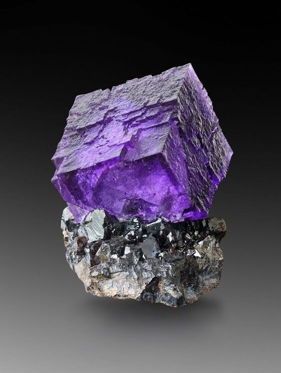 a purple fluorite crystal sits atop a matrix of black crystals. the fluorite crystal is a cube and is very vibrant in color. the background is a dark grey.