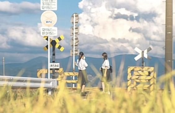 the image shows two girls in school uniforms standing at a rural railroad crossing, waiting for the train to pass. they are surrounded by tall grass, with a backdrop of mountains and a cloudy blue sky. the scene is bathed in natural daylight.