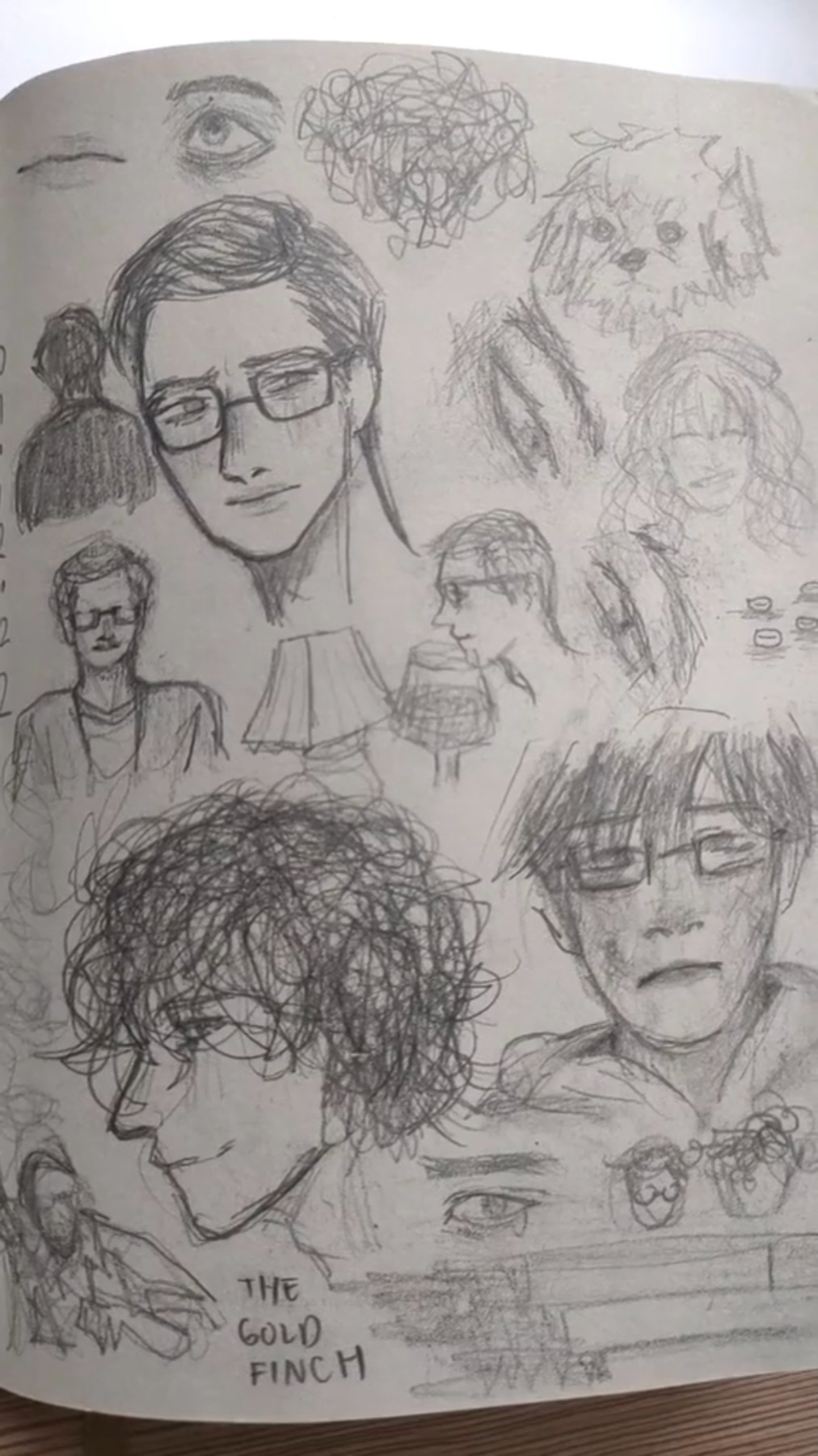 the image is a page from a sketchbook filled with graphite pencil sketches, seemingly inspired by donna tartt's novel "the goldfinch". the drawings are primarily portraits of a young man, presumably the protagonist theo decker, at various ages and in different emotional states. there are also quick sketches of other characters and objects significant to the story, such as boris pavlikovsky, a lamp, and eyes that hint at themes of observation and memory.  the style is loose and expressive, capturing the rawness of emotion and the artist's personal interpretation of the novel.  the words "the gold finch" are scribbled at the bottom, confirming the inspiration behind the artwork.