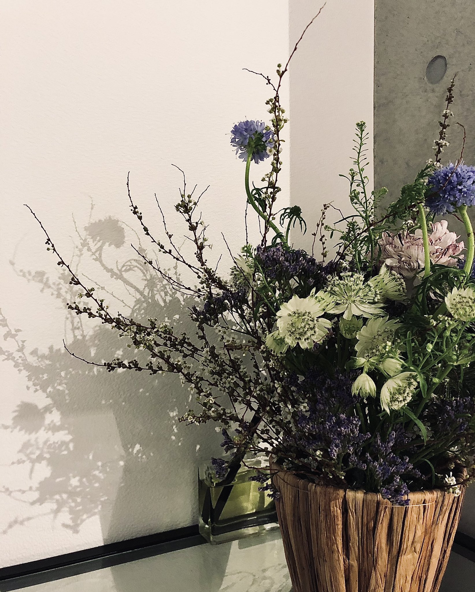 a photo of a bouquet of blue, white, and purple flowers in a rustic vase. the vase is sitting on a table in front of a white wall. the flowers are casting a shadow on the wall. the photo is taken from an eyelevel perspective.