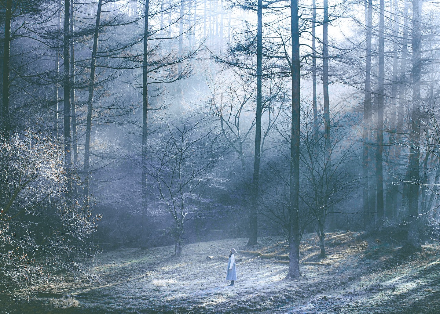 a solitary woman stands in a misty winter forest. the scene is bathed in a soft, ethereal light, creating a magical and tranquil atmosphere. the trees are bare, their branches reaching towards the sky. the ground is covered in a light frost. the overall mood is peaceful and serene. the woman is dressed in a lightcolored coat, making her almost blend into the misty background. the image evokes a sense of wonder and solitude.