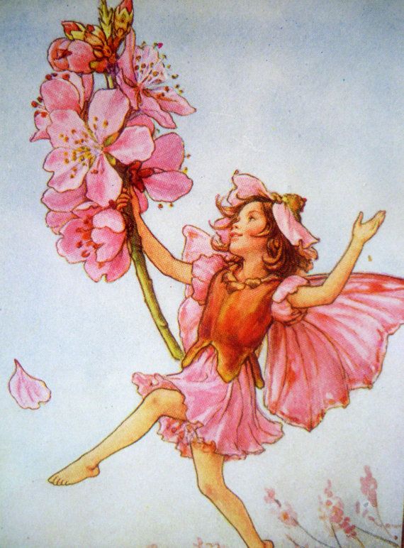 the image is a vintage illustration of a fairy girl holding a flowering peach branch. she has pink petal wings, a pink dress, and a matching hat. she is barefoot and appears to be dancing or flying. the background is a soft blue, suggesting a sky. there's a fallen petal and a few smaller blossoms scattered near her feet. her brown hair is wavy. she wears a light orange vest over the dress.