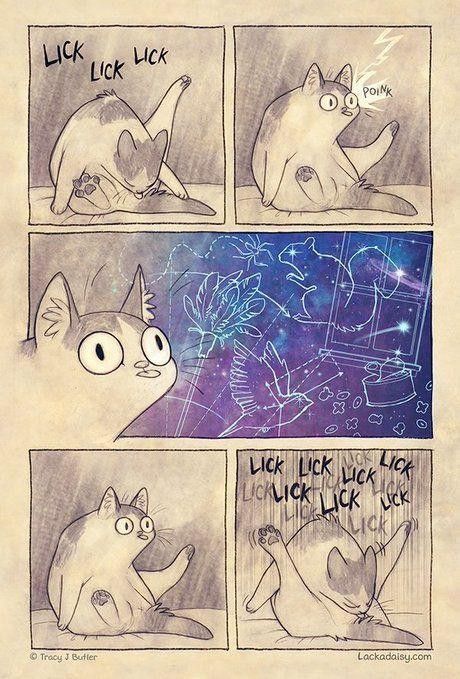 the image is a comic strip featuring a cat grooming itself. the cat is shown licking its hindquarters in the first panel, then startled by something in the second panel, with the word "poink" above its head. in the third panel, the cat is looking at a window with constellations of a squirrel, bird, and cannabis leaf. the fourth and fifth panels show the cat returning to grooming.