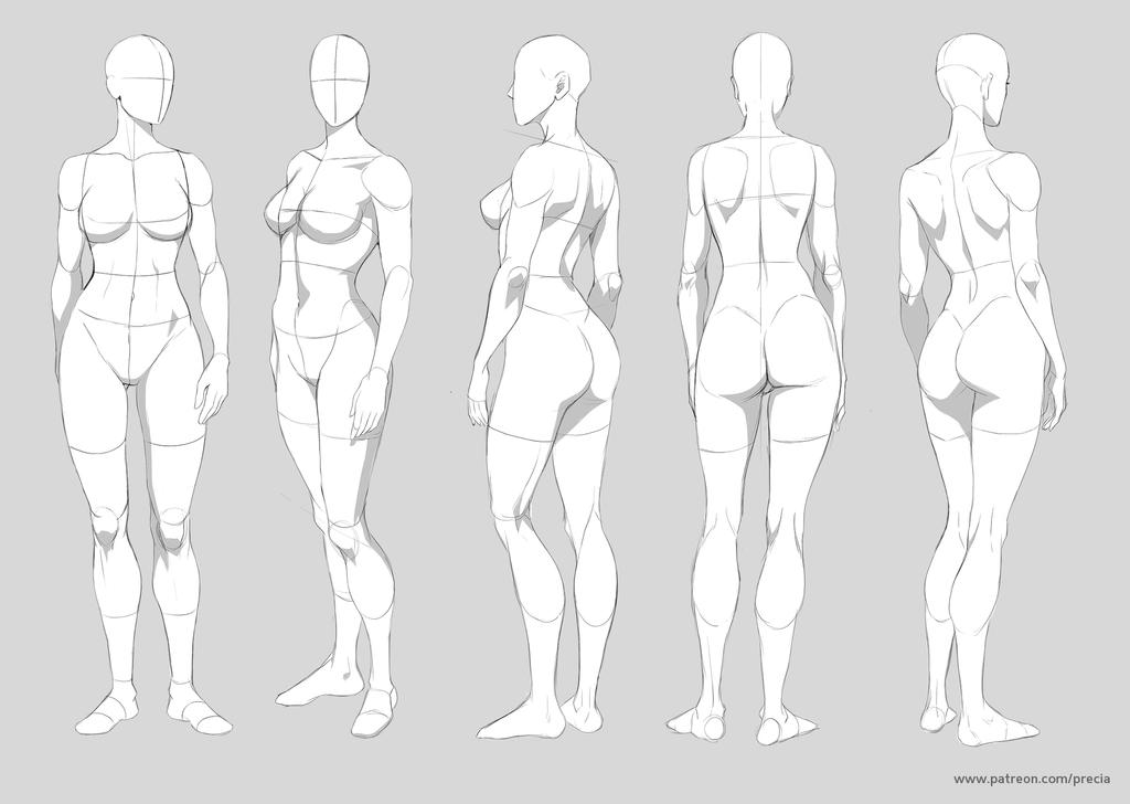 the image presents five different views of a female figure drawing, demonstrating various poses and perspectives. each figure is a stylized representation of a female body, highlighting muscle definition while maintaining an anime/manga aesthetic. the drawings are in grayscale, clean lines, and devoid of any clothing or additional details, focusing primarily on the skeletal and muscular structures. the views include: front view, back view, two side views (threequarter views), clearly showing the front, side, and back of the body.  the figures appear to be posed in a standing position, with subtle variations in stance and weight distribution. the style suggests the images are intended as reference material for artists practicing figure drawing.  a watermark is visible in the bottom right corner.