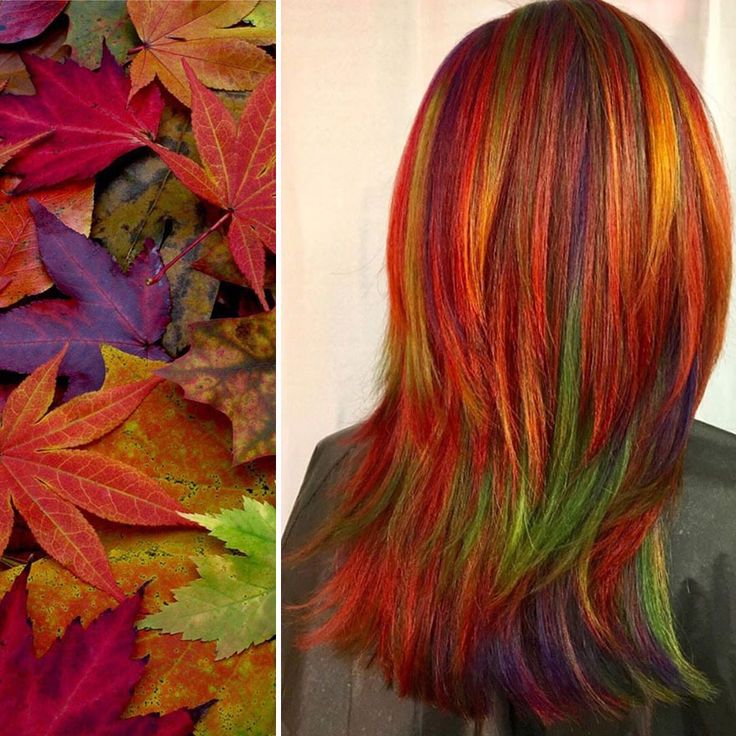 a split image showing fall leaves on the left and a woman with rainbow hair on the right. the woman's hair is dyed in shades of red, orange, yellow, green, and purple. the colors of the hair are reminiscent of the colors of the fall leaves, with the green hair streaks being the closest match. the image is a clever visual representation of the beauty of fall colors in hair.