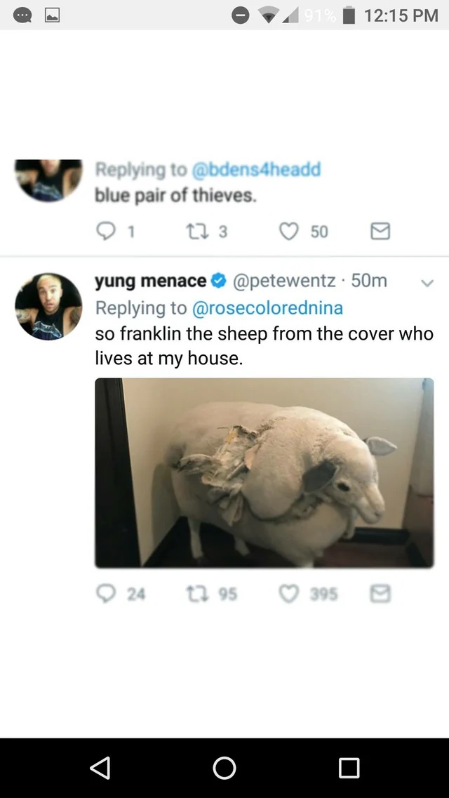 a twitter post from yung menace @petewentz replying to @rosecolorednina. the post is about a sheep named franklin. it includes a picture of a sheep.  the tweet reads "replying to @rosecolorednina so franklin the sheep from the cover who lives at my house."  there are 24 retweets, 95 likes, and 395 comments on the post.