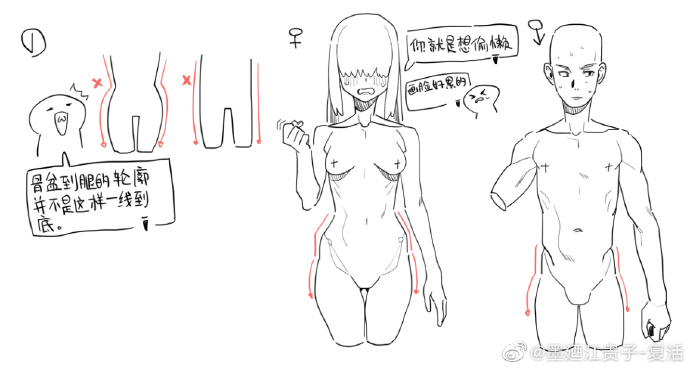 this image shows a drawing with anatomical diagrams and sketches of both male and female figures. there are annotations in chinese. the diagrams highlight the contours and anatomical features of the figures, emphasizing the shape from the pelvis to the legs. a separate diagram shows how to draw the pelvis and legs accurately.