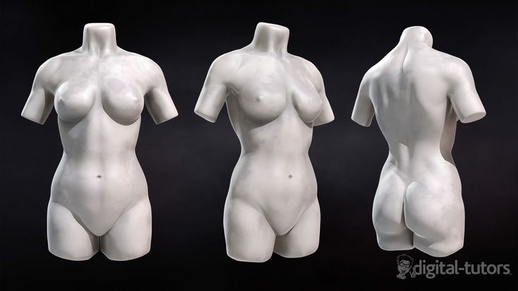 a 3d model of a female torso in three different poses. the front, back, and side views are shown, giving a complete picture of the anatomy. the sculpture is made of white marble, and the details are very realistic. the pose is relaxed and natural, and the figure is wellproportioned. this is a great example of digital art and would be suitable for anyone studying art or anatomy.