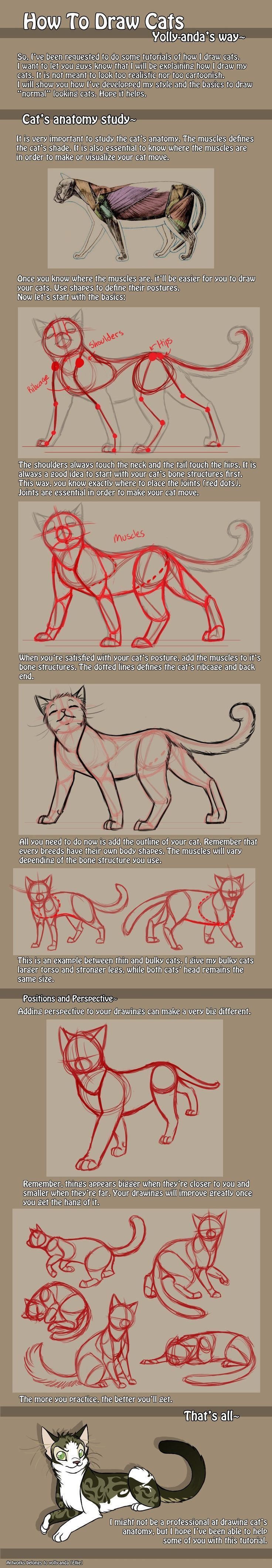a digital illustration tutorial explaining how to draw cats. the tutorial breaks down the process into steps, starting with basic shapes and gradually adding detail. each step is labeled with instructions and accompanied by a corresponding illustration. the tutorial covers various aspects of cat anatomy, including the structure of the head, body, legs, and tail. the final step showcases a completed illustration of a cat, encouraging viewers to apply the techniques they've learned.