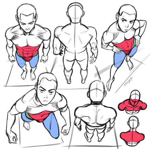 this is a drawing of male figures from a topdown perspective. the figures are in different poses, and the artist has labelled the anatomical features for better understanding.