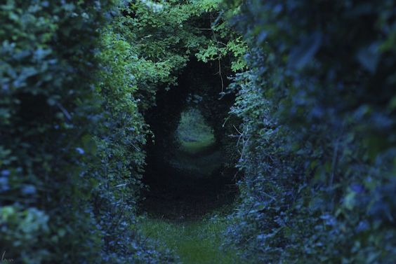 the image shows a dimly lit path through a tunnel of dense, overgrown foliage.  the path is covered in grass and dirt, and the surrounding foliage creates a sense of enclosure and mystery. the predominant color palette is various shades of dark green, contributing to the overall mysterious and evocative atmosphere.
