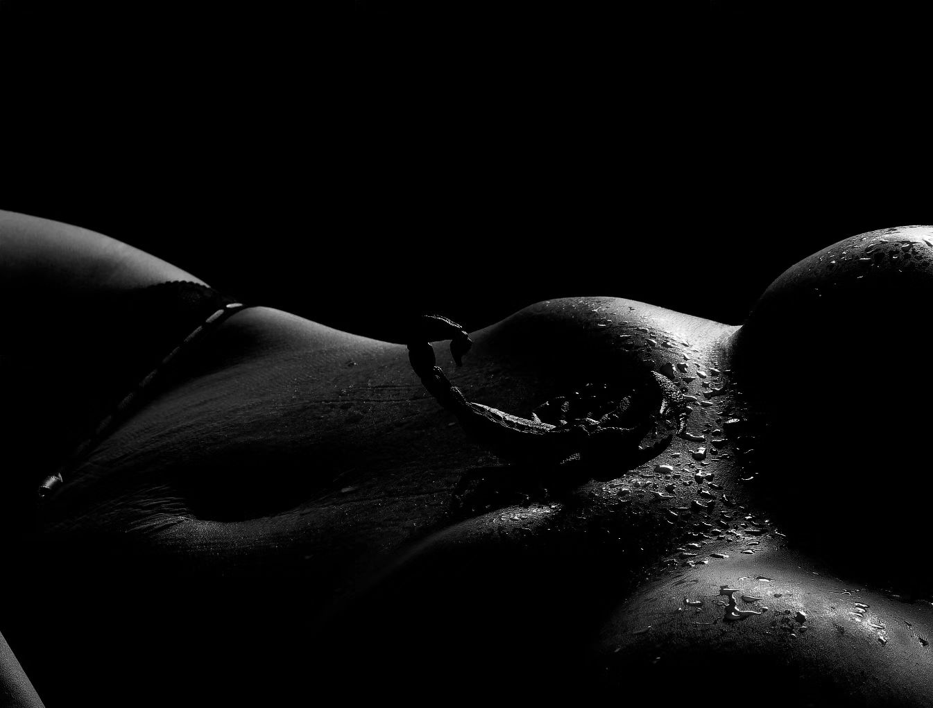 the image is a black and white photograph of a woman's partially nude torso. the lighting is dramatic, creating strong shadows and highlighting the curves of her body. water droplets are visible on her skin. a small scorpion sculpture is placed on her lower abdomen. the overall mood is sensual and artistic, with a focus on form and texture.  the dark background further emphasizes the subject's body.