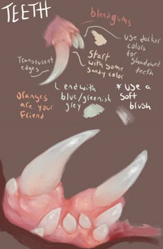 this is a digital illustration of a guide on how to paint realistic teeth. the illustration is split into two halves, on the left are some guidelines and on the right is an illustration of the finished product. the guide provides specific details on how to paint the teeth, including how to make them translucent, how to blend the color of the teeth with the color of the gums, and how to use a soft blush to add a subtle touch of color to the teeth.