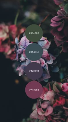 a closeup shot of pink and purple flowers with four color swatches showing different shades of purple and green. the color swatches are positioned over the flowers.