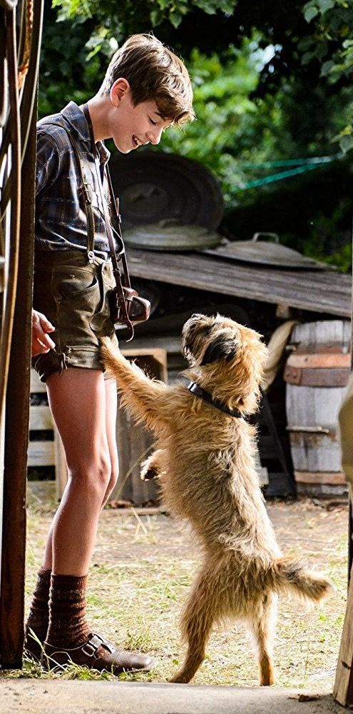 a young boy wearing overalls and a plaid shirt smiles at a brown dog standing on its hind legs. they appear to be in a backyard, surrounded by grass. the dog is wearing a black leash. the sun is shining and there is a wooden structure in the background.
