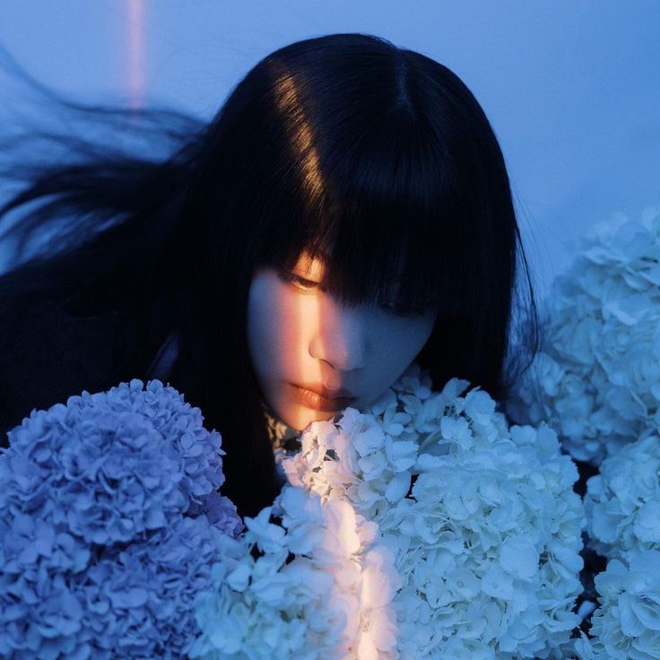he image features a closeup portrait of a young woman with long black hair, partially obscuring her face.  she is surrounded by large, fluffy hydrangea blossoms in shades of blue and white. the background is a solid, cooltoned blue. soft, artificial light, possibly from a strip light, illuminates the scene, casting a dramatic split lighting effect across the woman's face and the flowers. this creates a serene and ethereal mood.