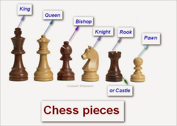 the image showcases a complete set of chess pieces arranged in a row against a pristine white backdrop. each piece is meticulously labeled with its corresponding name, including the alternative term "castle" for the rook. the pieces, crafted from wood, exhibit a classic design with a glossy finish. the white pieces are positioned to the left, while the brown pieces are to the right.
