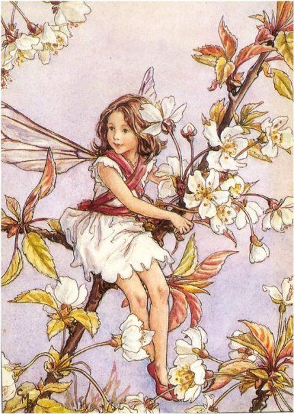 a whimsical illustration depicts a young fairy child sitting on a blossoming tree branch. she has delicate wings and wears a white dress with a red ribbon. white flowers and blossoms surround her. the background is a light purple. the artwork is reminiscent of vintage fantasy illustrations.