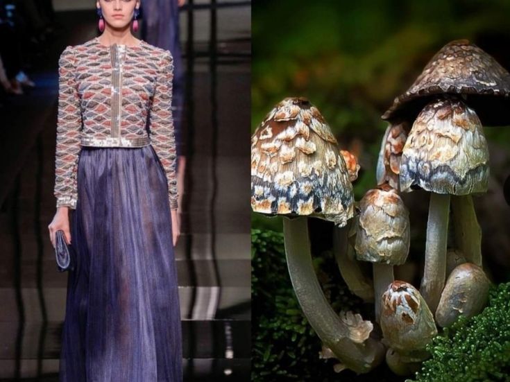 the image is a split image with two different subjects: a model on a runway and a group of mushrooms growing in the forest. on the left side of the image, the model is wearing a long dress, and on the right side of the image, the mushrooms are growing in the forest. the model is wearing a longsleeved blouse with a geometric pattern and a long flowing skirt. her dress is a rich purple color and her blouse has a black, white, and grey pattern. she is standing on a black and white checkerboard pattern, which is the typical backdrop of a runway. the mushrooms are in a variety of shapes and sizes, and are a mixture of browns and whites. they are growing in a bed of green moss. the background of the mushroom image is blurred, creating a soft and dreamy effect. both images are beautifully composed and visually appealing.